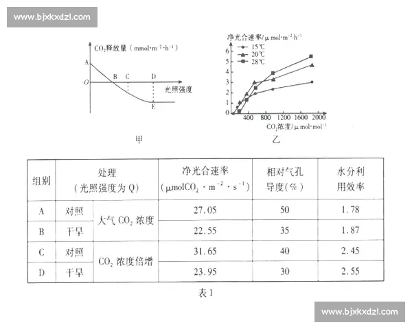 以强度控制为核心的训练方法优化与效果评估研究